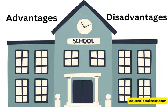 Advantages And Disadvantages Of School