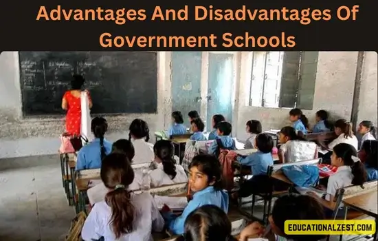 Advantages and Disadvantages of Government Schools