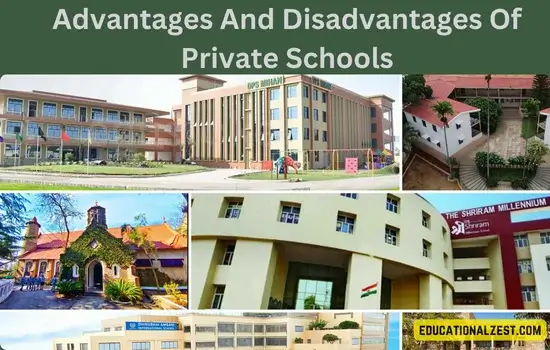 Advantages And Disadvantages Of Private Schools